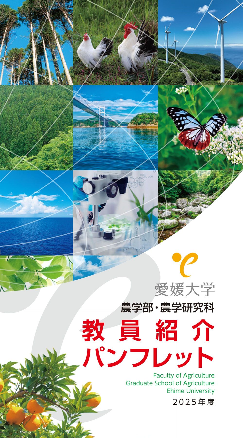 農学部・農学研究科教員パンフレット 2025年度