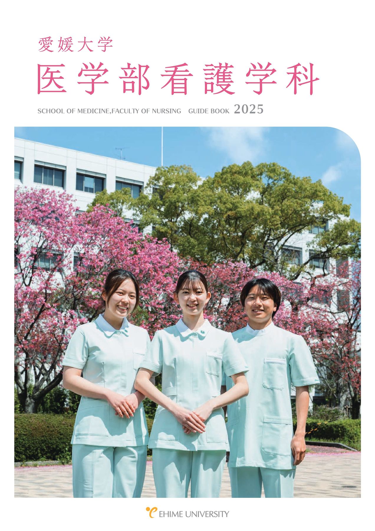 愛媛大学　医学部　2011年～2022年 赤本　12年分 愛媛大学 医学部 2011年～2022年 赤本 12年分