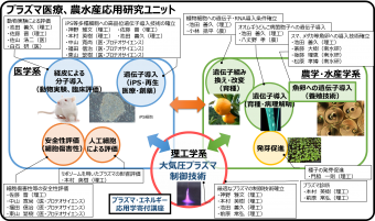 プラズマ