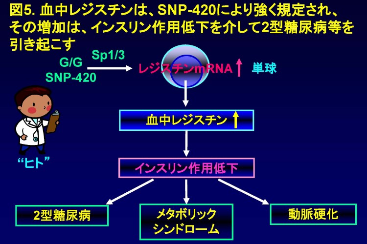 Infinity図大澤fin sent 6.15.2014_ページ_5