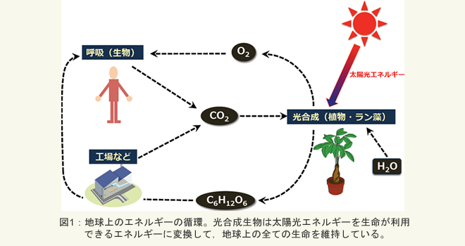 図1