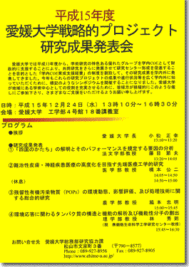 戦略的プロジェクト研究成果発表会ポスター