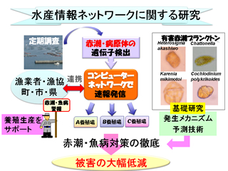 図1:水産情報ネットワークに関する研究