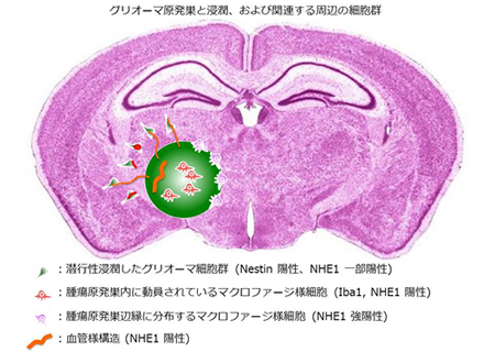 図1