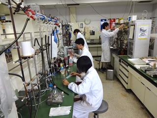 実験室の様子1:空気中では分解してしまう金属錯体触媒を真空ラインを使って窒素雰囲気下で扱います。