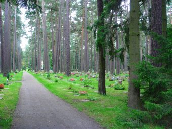 写真③:森の墓地1