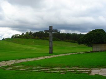 写真④:森の墓地2