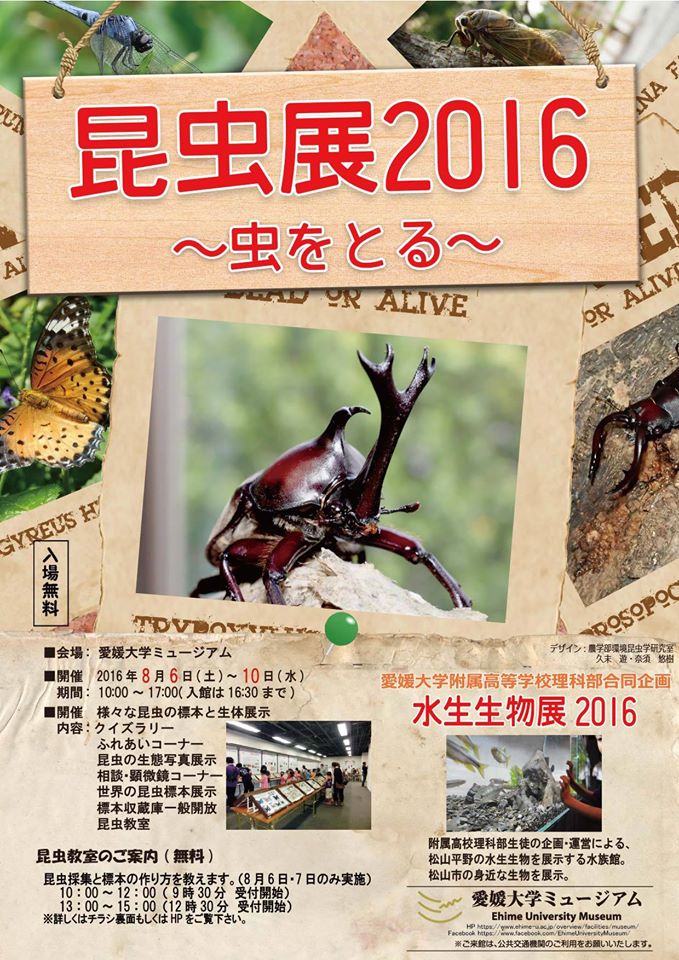 8月6日 愛媛大学ミュージアム 昆虫展16 虫をとる を開催 愛媛大学