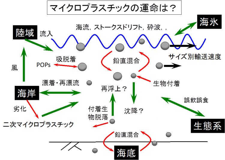 hianta_1