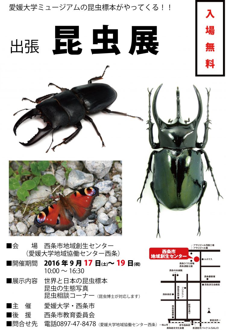 ④ポスター(大きさ変化)