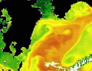 暖水塊が豊後水道に侵入する急潮現象の様子（赤い舌状の部分）