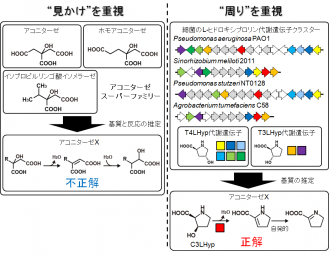 見かけより周りに注目?!