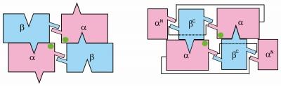 図2 これまで知られていた変則的イントロンを切断可能なRNA介在配列除去システム(左)とARMANのシステムの比較(右) これまで知られていたシステムでは、2種類のタンパク質サブユニットが4つ組み合わさっているが、ARMANのシステムでは、これらがシャッフルされ、3つのピースが2つのリンカーでつながったサブユニットが2つ組み合わさっている。