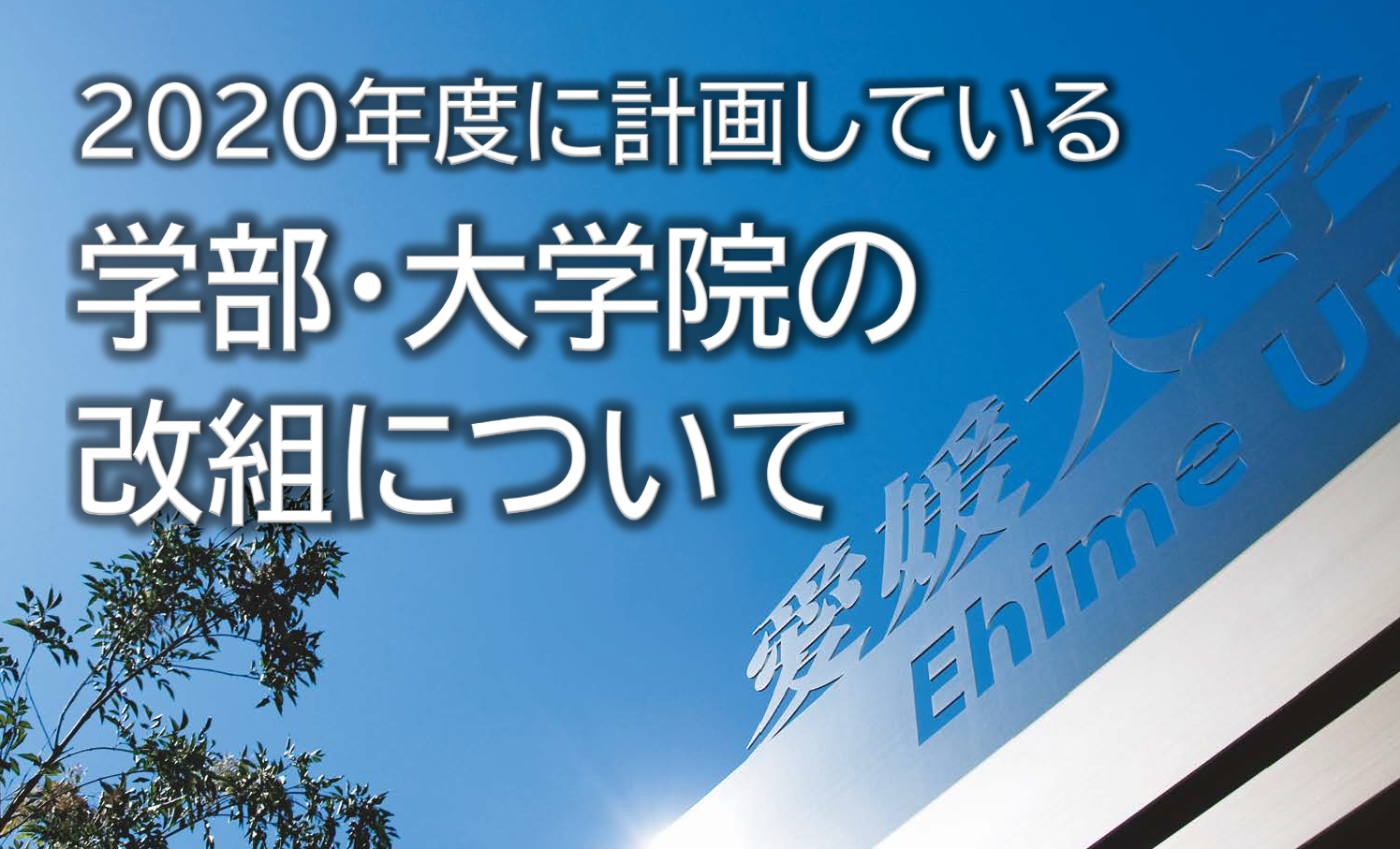 2020年度に計画している学部・大学院の改組について