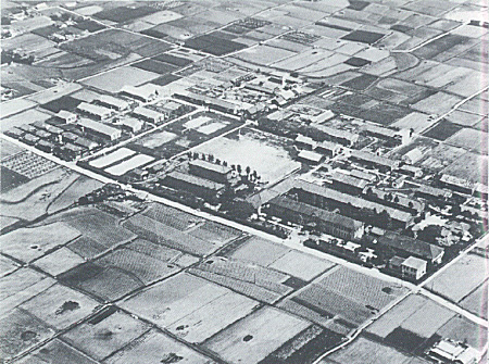 Faculty of Agriculture circa 1955