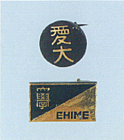 1955 年左右使用的徽章