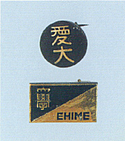 Insignia used around 1955
