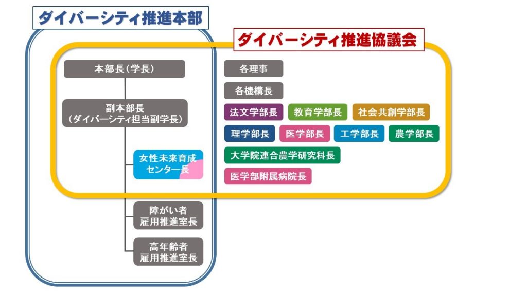 Diversity Promotion Structure Chart