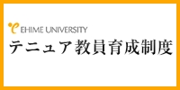 Ehime University Tenure Faculty Development System