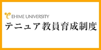 愛媛大学テニュア 教員育成制度