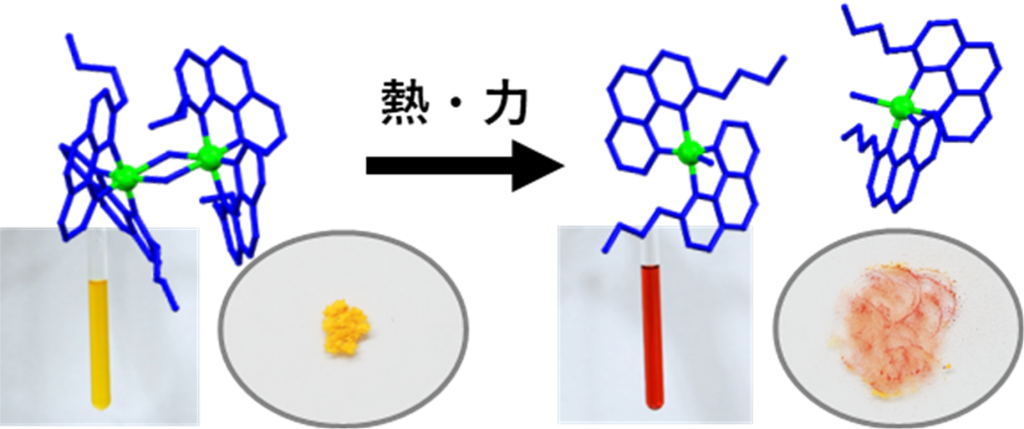 熱や力によって分裂して色が変わるホモキラル二量体の合成に成功 〜キラルセルフソーティングを用いた新しい材料設計に期待〜