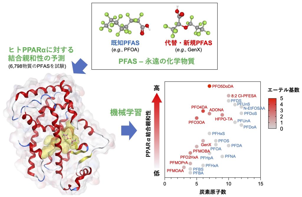 最新のAI技術で、永遠の化学物質(PFAS)約7000種と生体分子の結合特性を予測