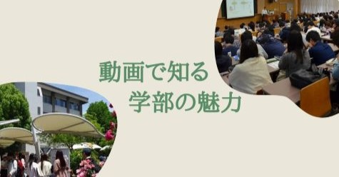 動画で知る学部の魅力