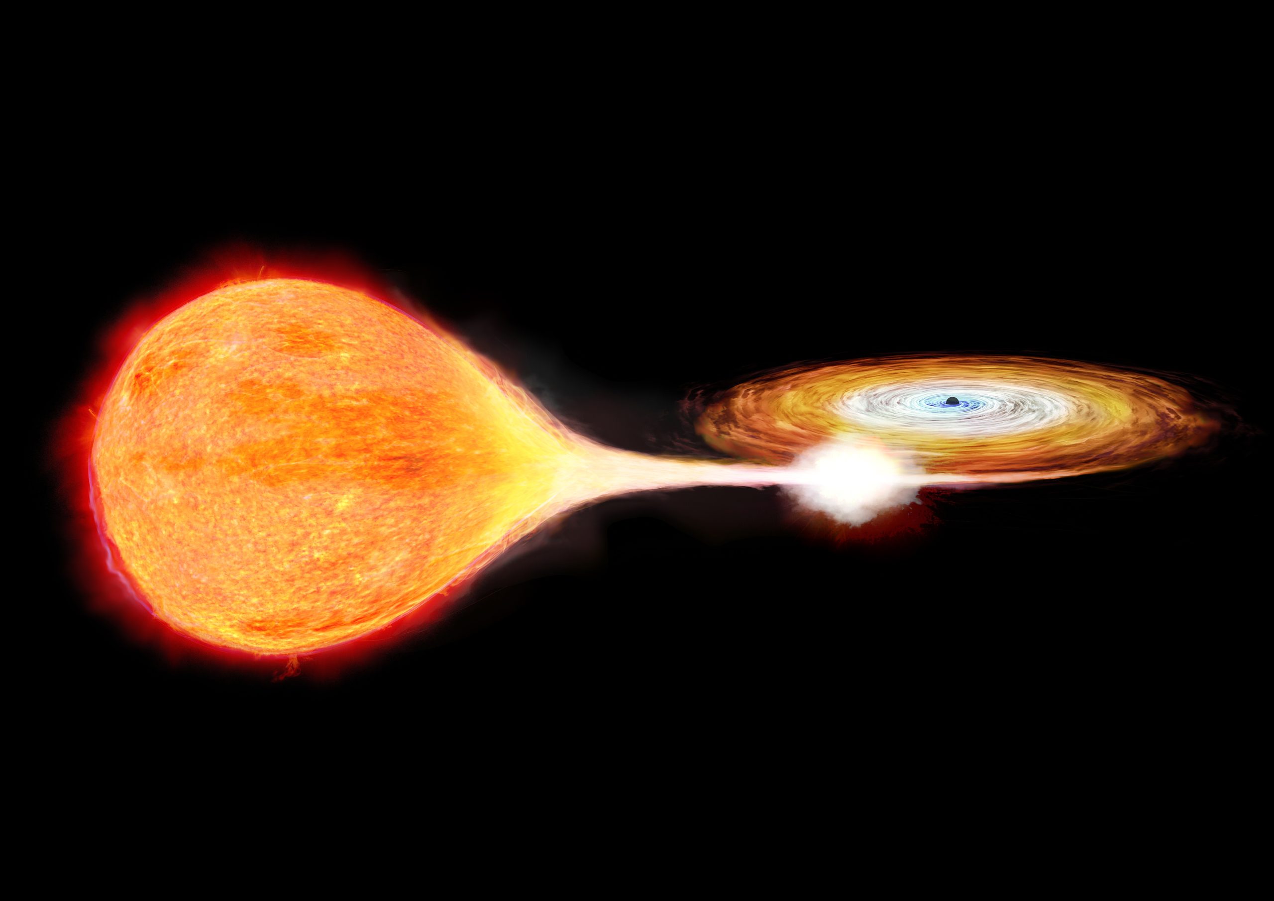 天の川銀河内の恒星質量ブラックホールのダイナミックな活動～X線分光撮像衛星XRISMによる精密観測～