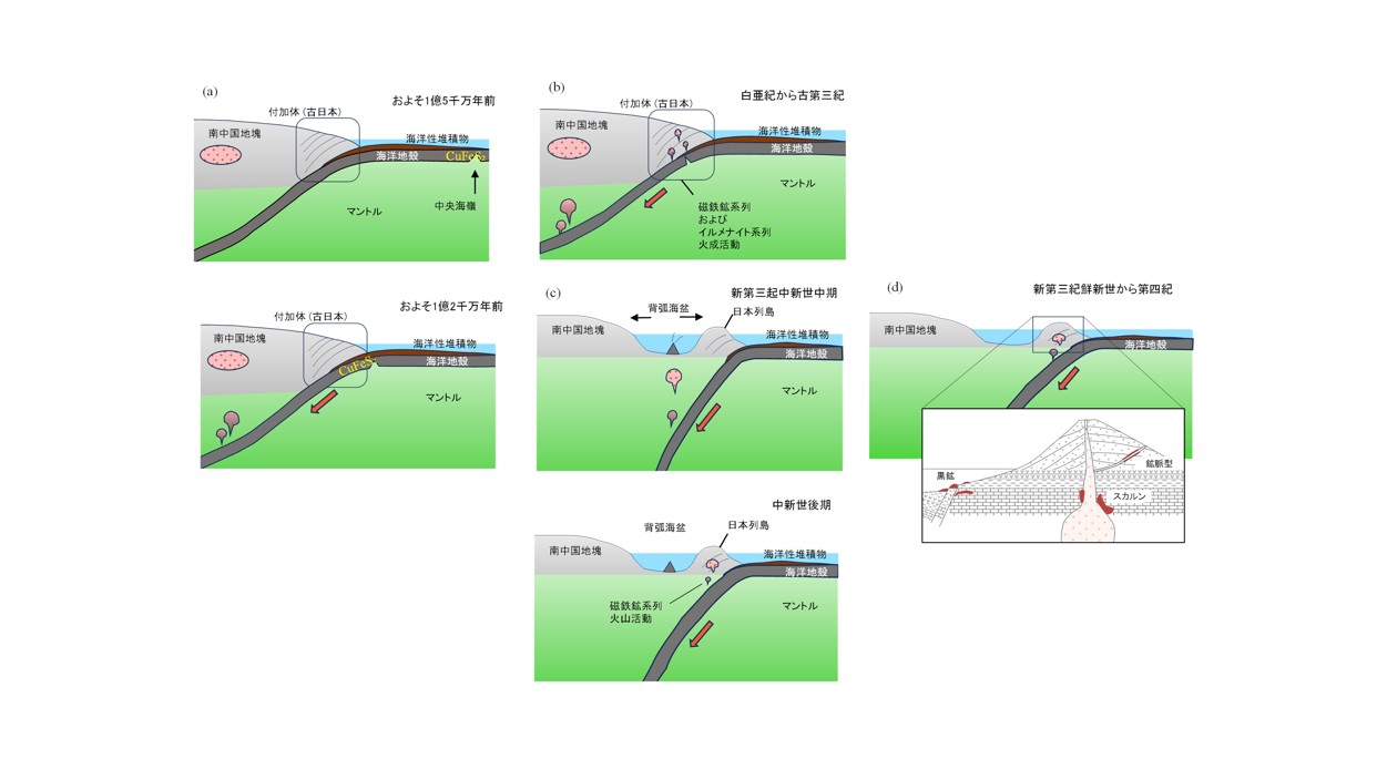博物館収蔵の鉱石試料の分析により日本全体の熱水鉱床の生成要因を解明