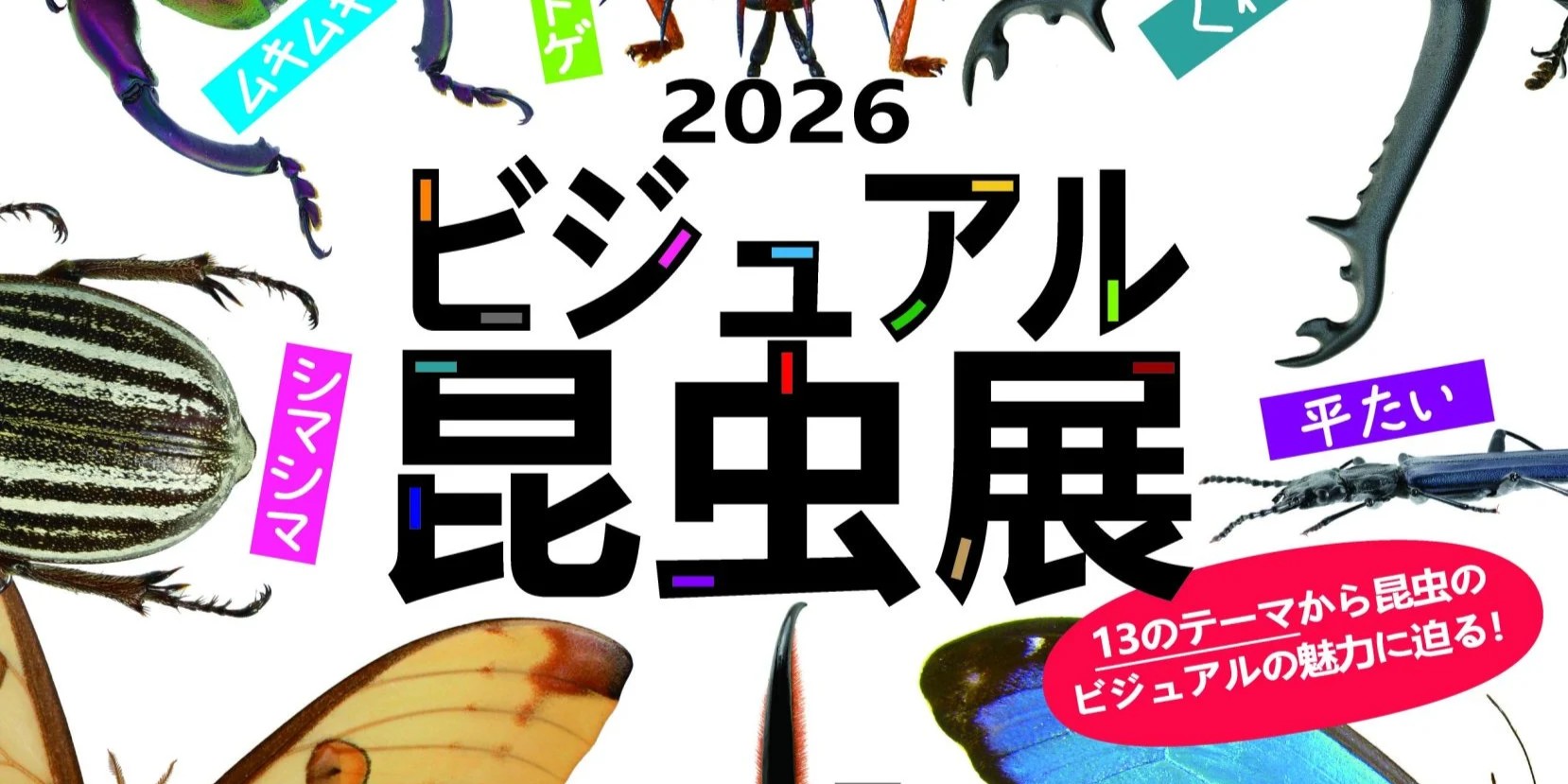 konchuuten2026-poster-03